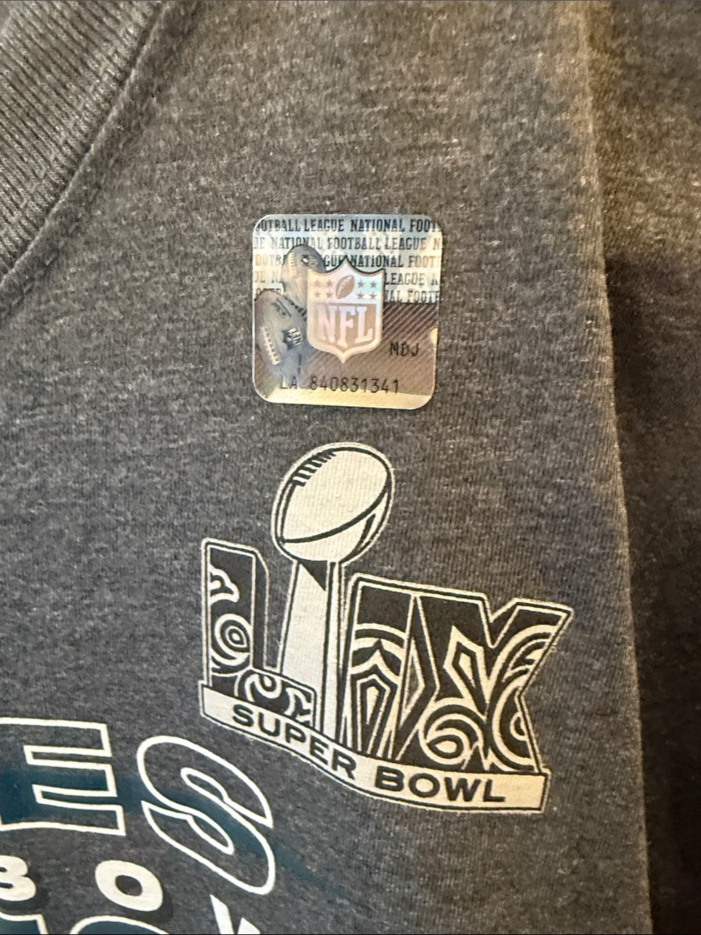 Fanatics Boys Gray Eagles Super Bowl LIX Champions Tee - Picture 3 of 5